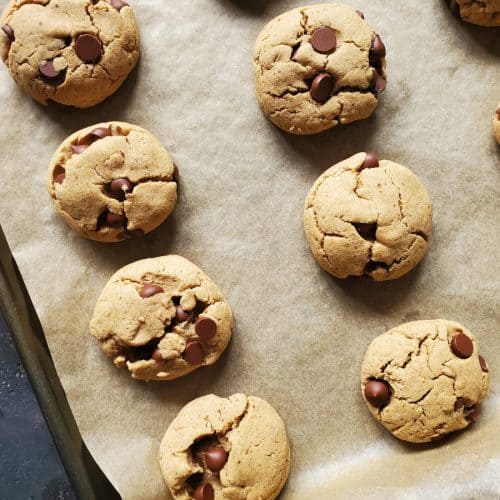 paleo chocolate chip cookies on a tray
