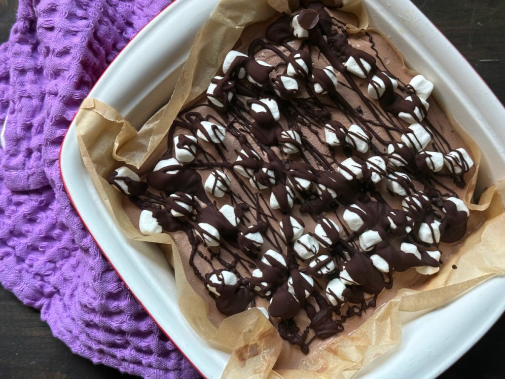 s'mores ice cream bars